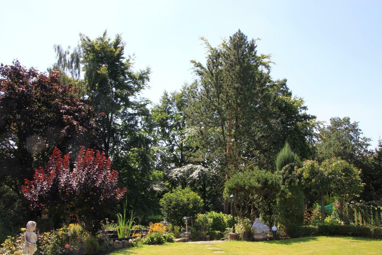 Bed And Breakfast Am Hoehenweg Warstein Dış mekan fotoğraf